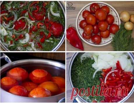 ПОМИДОРЫ ЗАКУСОЧНЫЕ