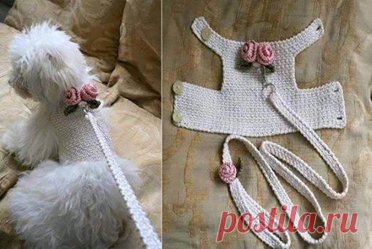 (1) Марина Разнова