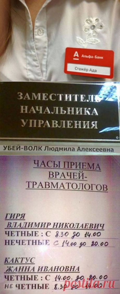 Забавные фамилии людей, которые определенно на своем месте — Убойный юмор - amworld
