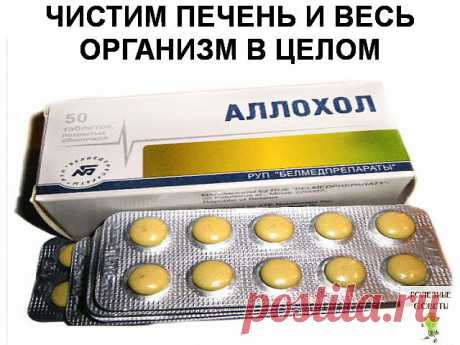 ✔ ПОЛЕЗНЫЕ СОВЕТЫ : 
Сохраните, чтобы не потерять.

СОВЕТ 1 : ЧИСТИМ ПЕЧЕНЬ И ВЕСЬ ОРГАНИЗМ В ЦЕЛОМ.

Программа очищения рассчитана на 14 дней, три раза в в день принимать таблетки Аллохола. 
1-й день - по 1 таблетке 3 раза в день;
2-й день - по 2 таблетке 3 раза в день;
3-й день - по 3 таблетки 3 раза в день;
4-й день - по 4 таблетки 3 раза в день; 
5-й день - по 5 таблеток 3 раза в день;
6-й день - по 6 таблеток 3 раза в день;
7-й день - по 7 таблеток 3 раза в день;
8-й ...