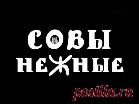 СОВЫ НЕЖНЫЕ. А МОЖЕТ, СОВЫ СНЕЖНЫЕ ИЛИ ЗОВЫ НЕЖНЫЕ? | МУЗА НАШЕГО ДВОРА