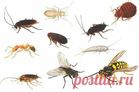 (19) Одноклассники