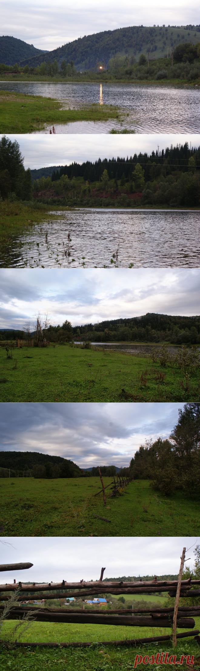 Яндекс.Фотки