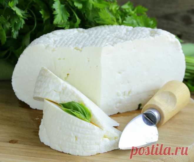 ТОП–12 подборка вкусных домашних сыров