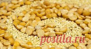 Чечевица при похуденииДавай худеть!