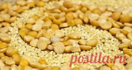 Чечевица при похуденииДавай худеть!