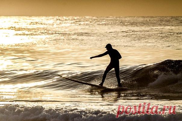 «Золотой рассвет». Остров Русский, Приморский край. Автор фото — Анна Инюткина, участница фотоконкурса «Сила звука»: nat-geo.ru/photo/contest/851659-sila-zvuka/best/