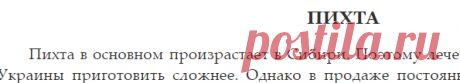 Пихта.. Лечение заболеваний мочеполовой системы