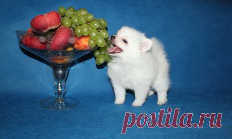 Выбирай- все для  тебя!