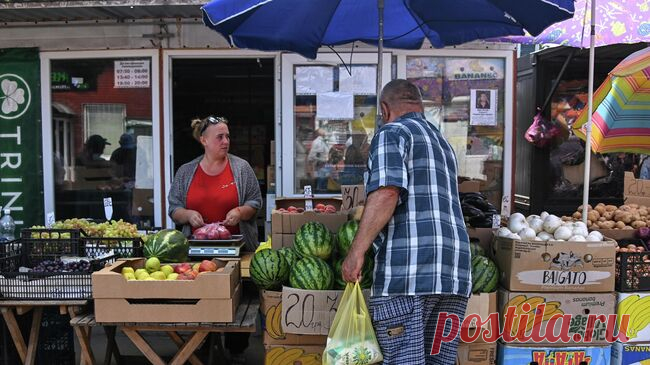 Дачников научили, как легально продать свой урожай