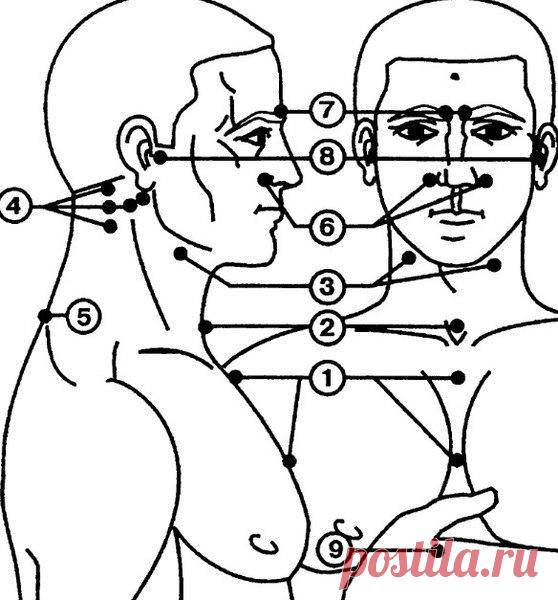 Точечный массаж для повышения иммунитета Точечный массаж для повышения иммунитета Массажные зоны, связанные с регуляцией иммунитета и закаливанием организма, изображены на рисунке. Всего таких точек девять.   Массаж биологически активных точек отлично помогает...