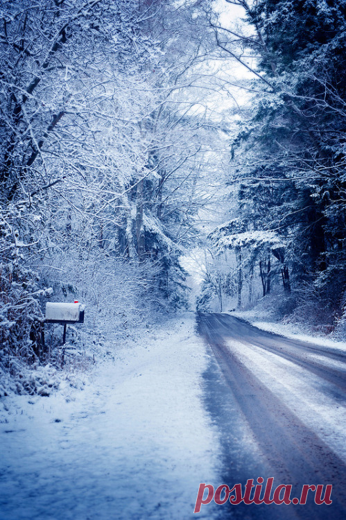 Life Is Beautiful — alisa0807:  