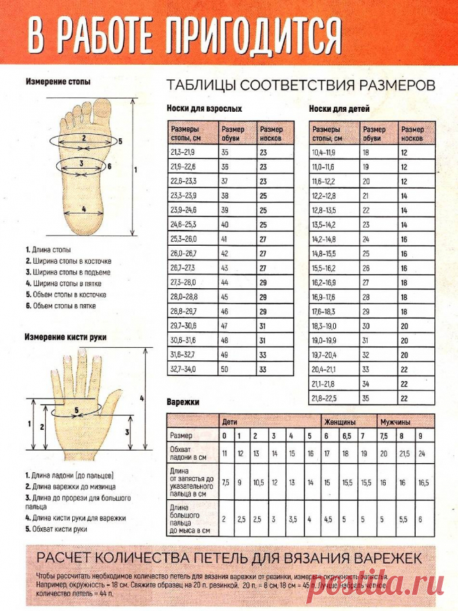 Ifotki.info - бесплатный хостинг фотографий для форумов, дневников, гостевых книг