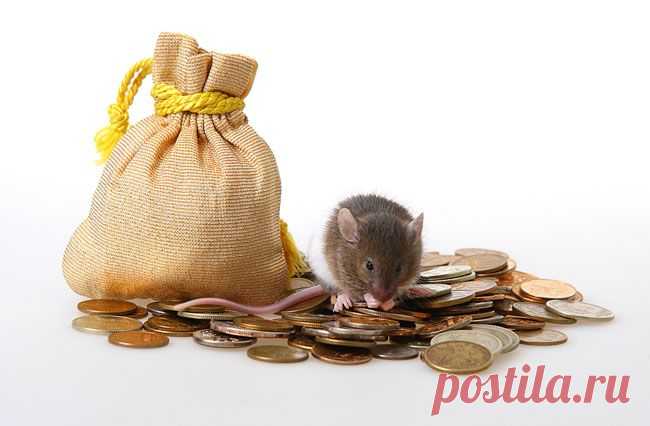 Причины генетической нищеты. | Познавательный сайт ,,1000 мелочей"