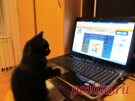 моя напарница