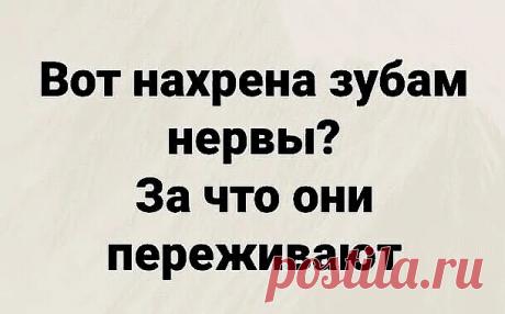 Выпуск №6715 - выпуск анекдотов сайта вокруг смеха