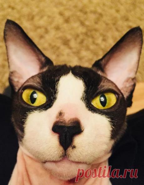 Серьезность