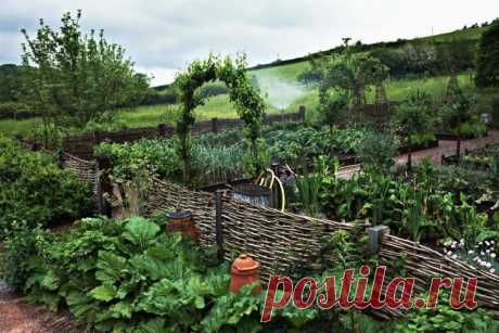 Найдено на сайте gardenista.com.