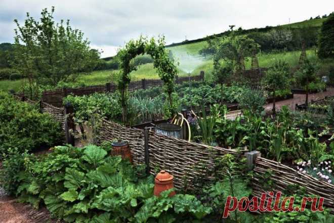 Найдено на сайте gardenista.com.