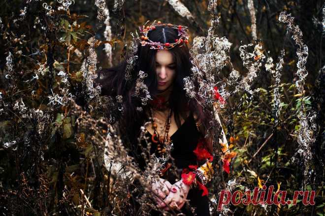 Предсказания Таёжной ведуньи на 30 лет до 2053 года: два варианта развития событий для России | Городские легенды | Дзен