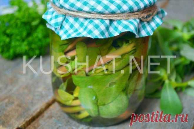 Маринованный портулак на зиму. Пошаговый рецепт с фото - Кушать нет