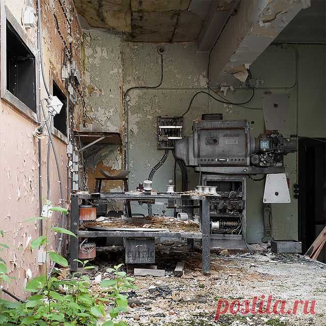 Botanical Cinema | Flickr - Photo Sharing!