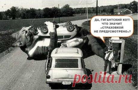 Не верь тому, что говорят тебе твои глаза:
все, что они тебе показывают, - ограничения.
Смотри собственным пониманием, открывай то, что уже знаешь,
и увидишь путь, где ты умеешь летать.
Р. Бах "Карманный справочник Мессии"