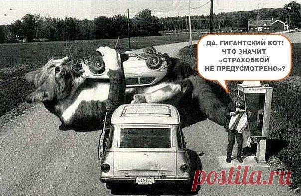 Не верь тому, что говорят тебе твои глаза:
все, что они тебе показывают, - ограничения.
Смотри собственным пониманием, открывай то, что уже знаешь,
и увидишь путь, где ты умеешь летать.
Р. Бах "Карманный справочник Мессии"
