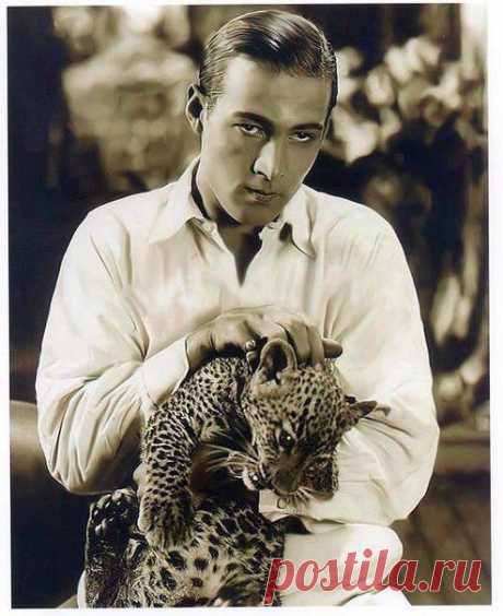 Рудольф Валентино (англ. Rudolph Valentino; 1895 — 1926) — американский киноактёр итальянского происхождения, идол эпохи немого кино.