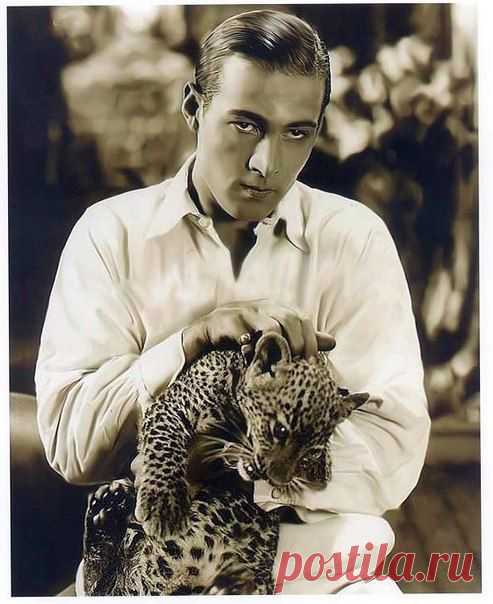 Рудольф Валентино (англ. Rudolph Valentino; 1895 — 1926) — американский киноактёр итальянского происхождения, идол эпохи немого кино.