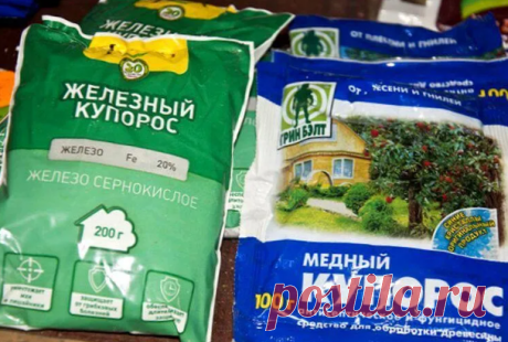 Зачем нам медный и железный купорос. Поговорим о применении.

Медный купорос это прежде всего профилактический антисептик и фунгицид контактного действия. Это экологичный и дешевый препарат, который прежде всего применяется на грунтах с недостаточной насыщенностью гумусом, также в торфяниках и песчаниках. Также препарат подойдет для санитарной обработки помещений и протравливания грунта перед посевами. Это более щадящий препарат, не обжигает листья, в отличие от железного ...