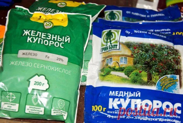 Зачем нам медный и железный купорос. Поговорим о применении.

Медный купорос это прежде всего профилактический антисептик и фунгицид контактного действия. Это экологичный и дешевый препарат, который прежде всего применяется на грунтах с недостаточной насыщенностью гумусом, также в торфяниках и песчаниках. Также препарат подойдет для санитарной обработки помещений и протравливания грунта перед посевами. Это более щадящий препарат, не обжигает листья, в отличие от железного ...