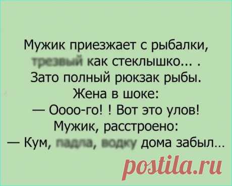 (1) Небольшая подборка анекдотов для нескучного денечка - Сказка для двоих - 19 декабря - 43528132725 - Медиаплатформа МирТесен