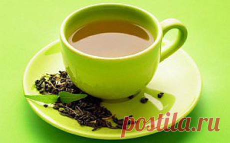Полезные свойства зеленого чая |