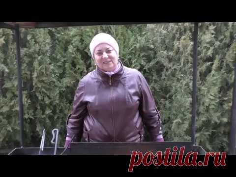 252.3.Видео-ЧЕРТЕЖ Профессионального МАНГАЛА 