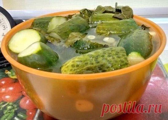 Рецепт «по Шалеву» знает каждая одесская бабушка: малосольные огурцы всего за одни сутки