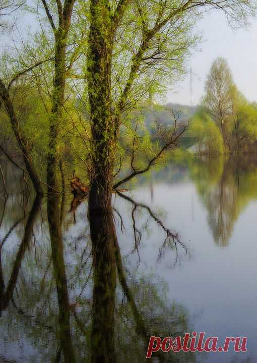 (+1) тема - Весенний паводок | Фотоискусство