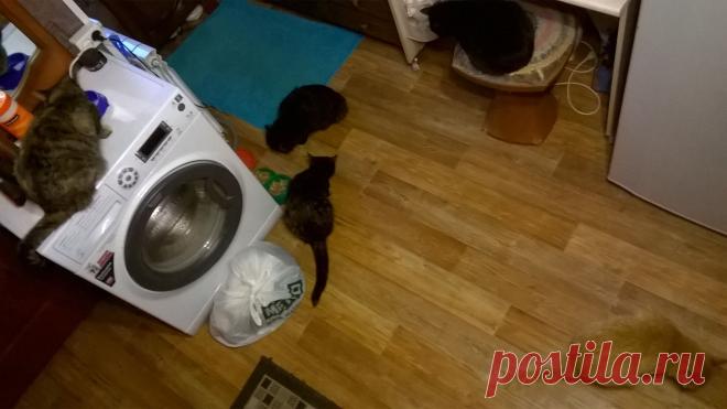 Сосчитайте)