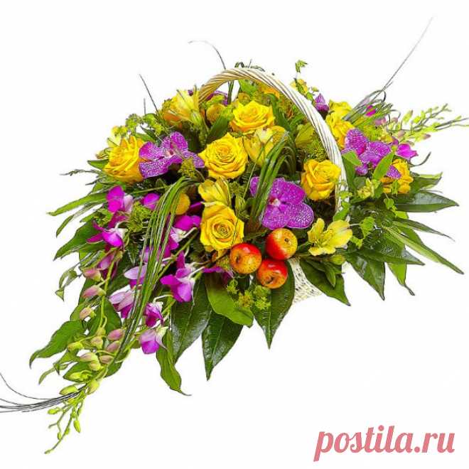 153171800-666x666.jpg (666×666)
