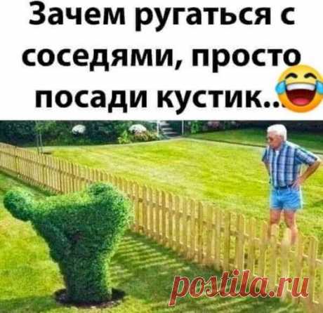 Посади кустик!!!!!!!!!!