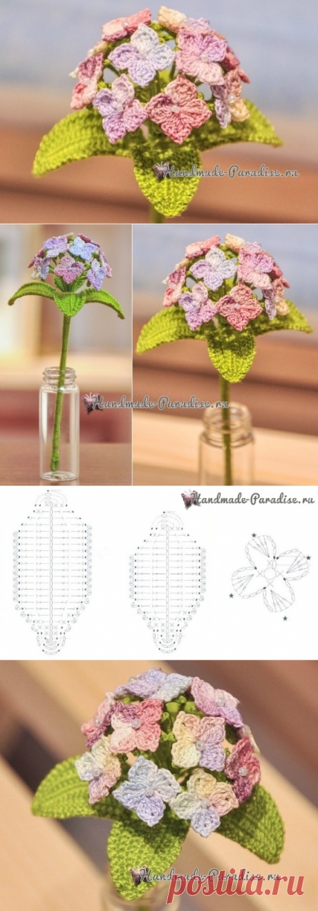 Цветы гортензии крючком. Схема - Handmade-Paradise