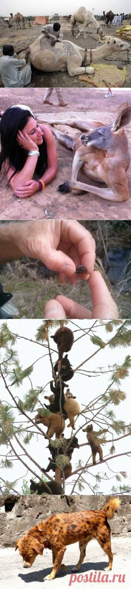 Свежий фотопозитив / Приколы