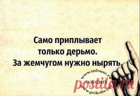 У оптимистов сбываются мечты. У пессимистов — кошмары... (пятничный подбодризм!))
