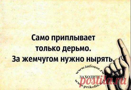 У оптимистов сбываются мечты. У пессимистов — кошмары... (пятничный подбодризм!))