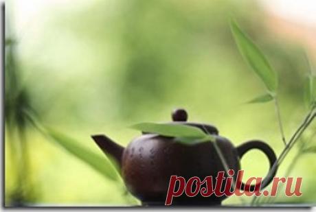 Как улучшить обмен веществ и похудеть?