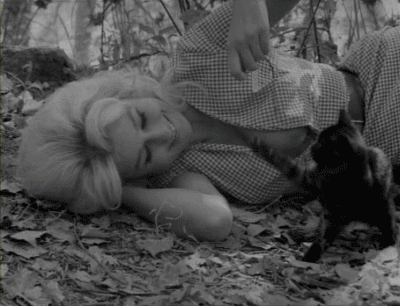 Фотографии У Кассандры - 56 фото в Моем Мире.