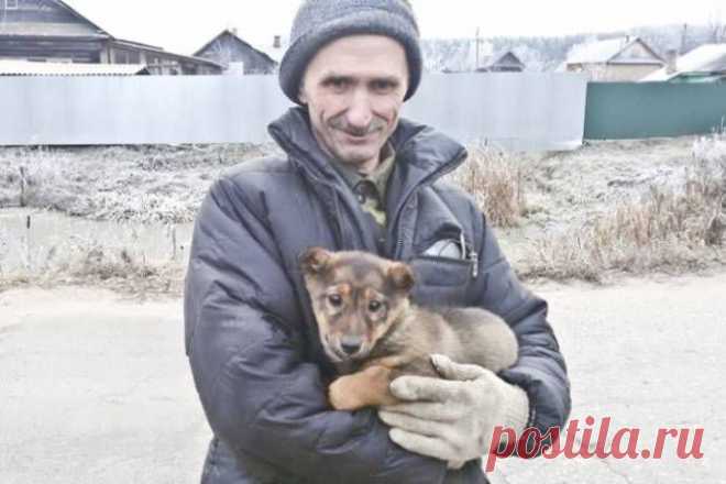 В городе Гаврилов-Ям всем миром спасали щенка из подземного плена | Дай лапку