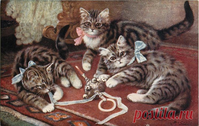 три котенка, у среднего розовый бант, у других синие бантики, играют с лентой и игрушкой - TuckDB Postcards