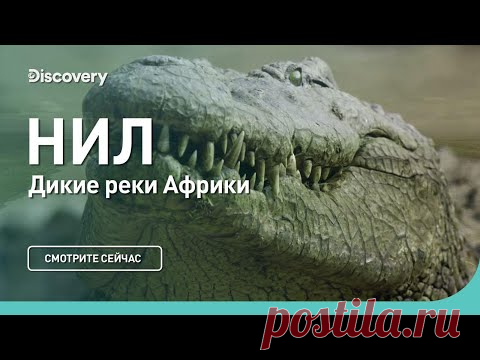 Нил | Дикие реки Африки | Discovery
