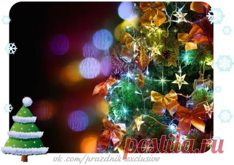 Желаю вам, чтобы в Новом году исполнилось даже то, о чём и не мечталось, приумножилось то, что имеем, и убавилось то, что мешает!